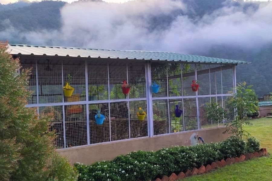 Outdoor view of a dining area set amidst greenery and nature.