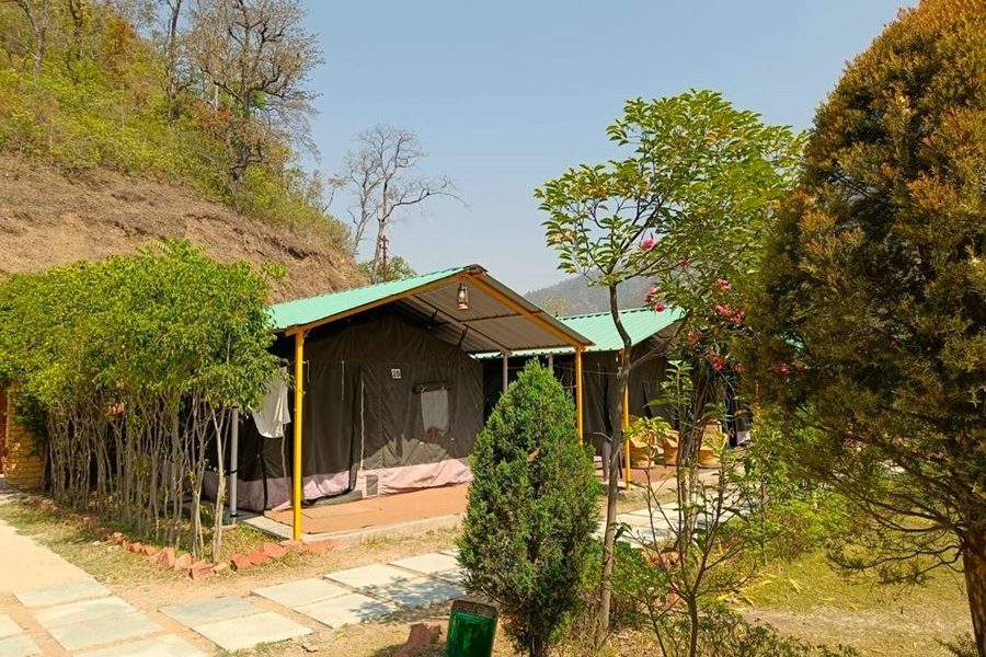 Luxury Camp Majestic tent outside with plants in the surrounding area.